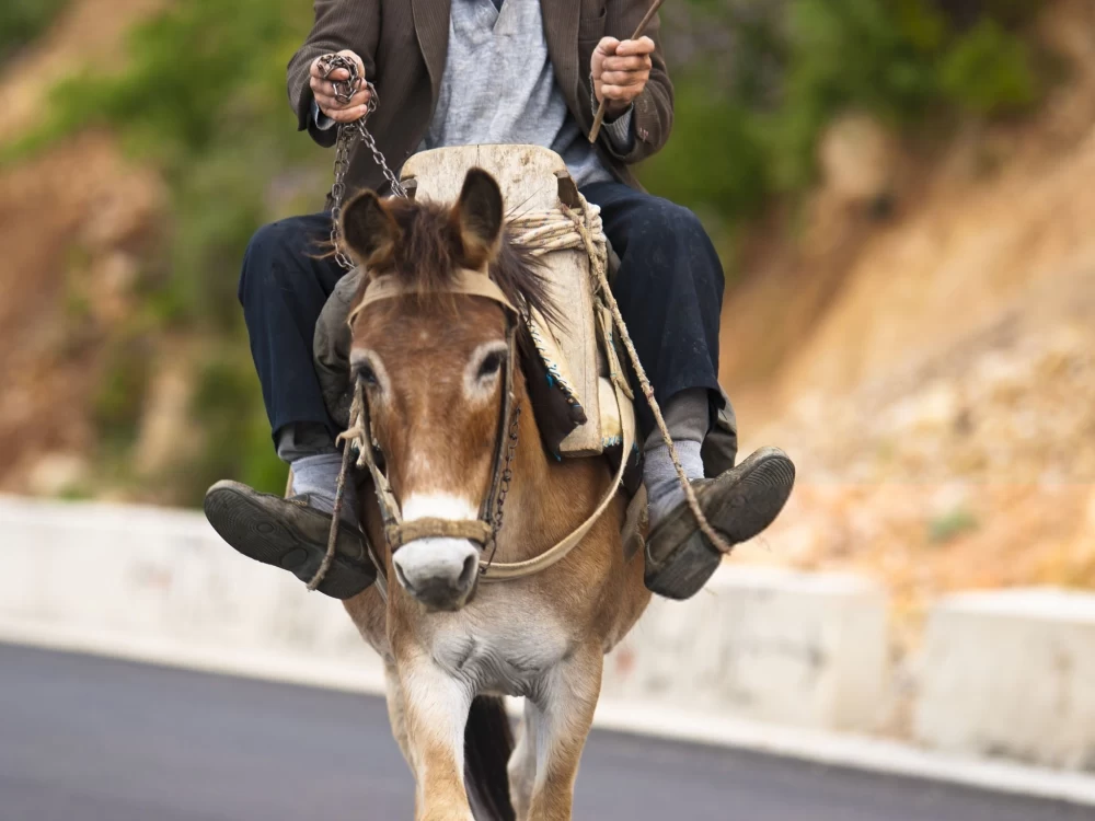 عکس خفن عکس های قدیمی خودم