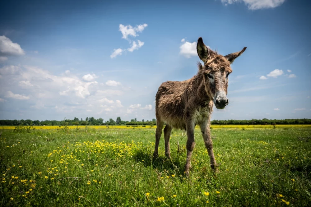 Ane عکس قدیمی خودم دانلود مستقیم