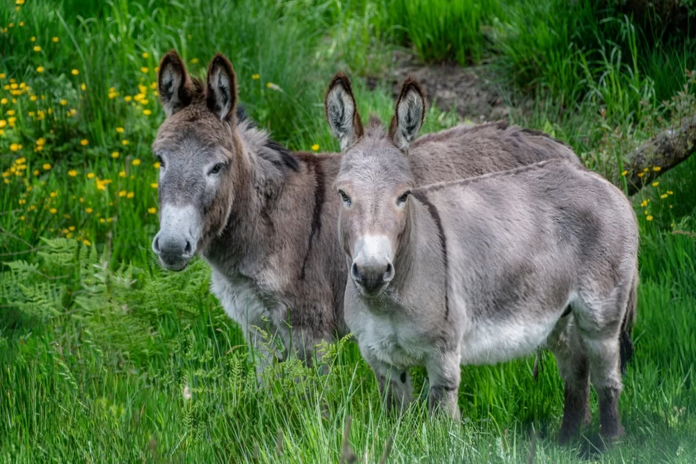 عکس خفن عکس های قدیمی خودم