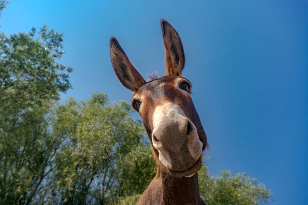 عکس خفن عکس های قدیمی خودم