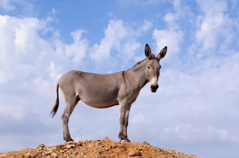 عکس خفن عکس های قدیمی خودم