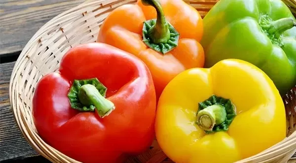طبع فلفل دلمه ای