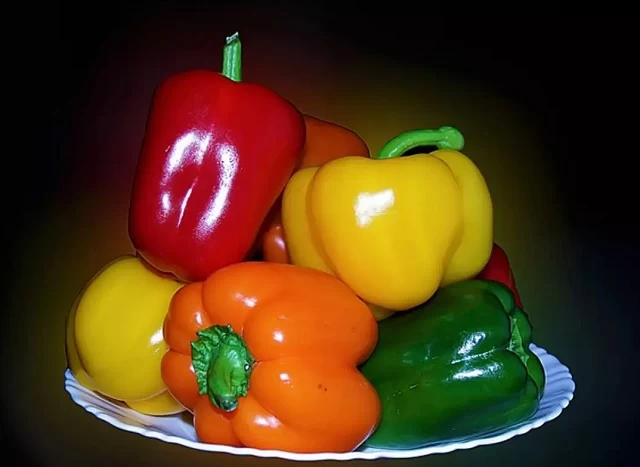 طبع فلفل دلمه ای