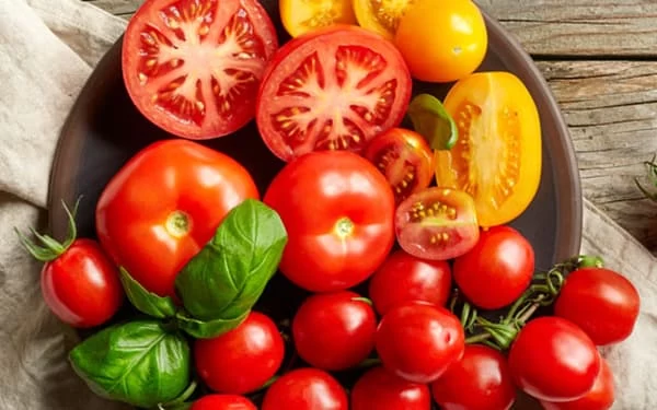 طبع گوجه فرنگی و مصلحات آن