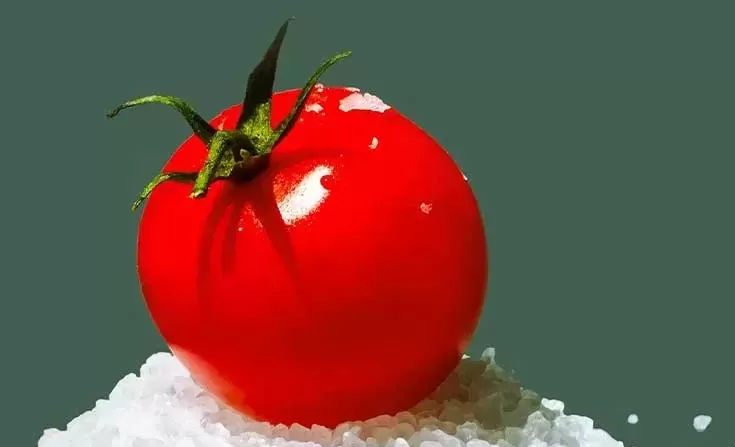 طبع گوجه فرنگی و مصلحات آن