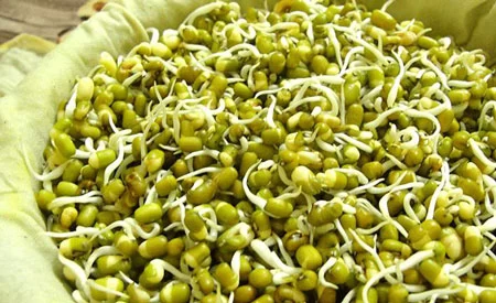 کالری جوانه ماش