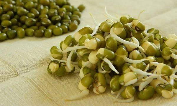 کالری جوانه ماش