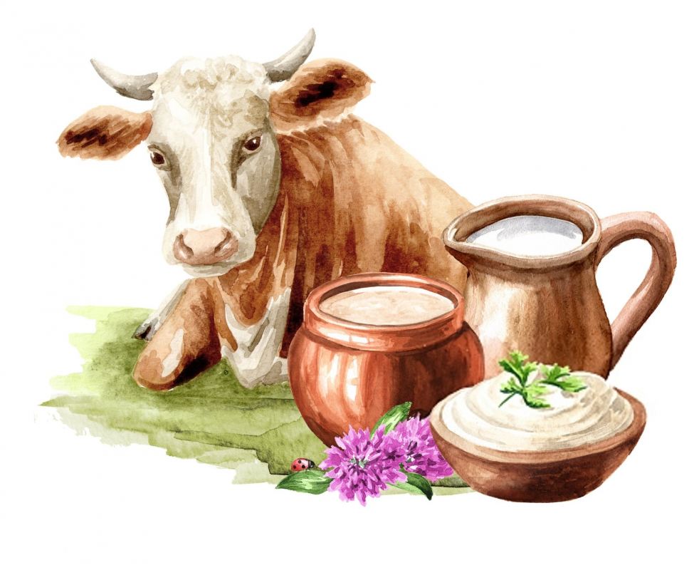 تفاوت روغن حیوانی گاوی و گوسفندی
