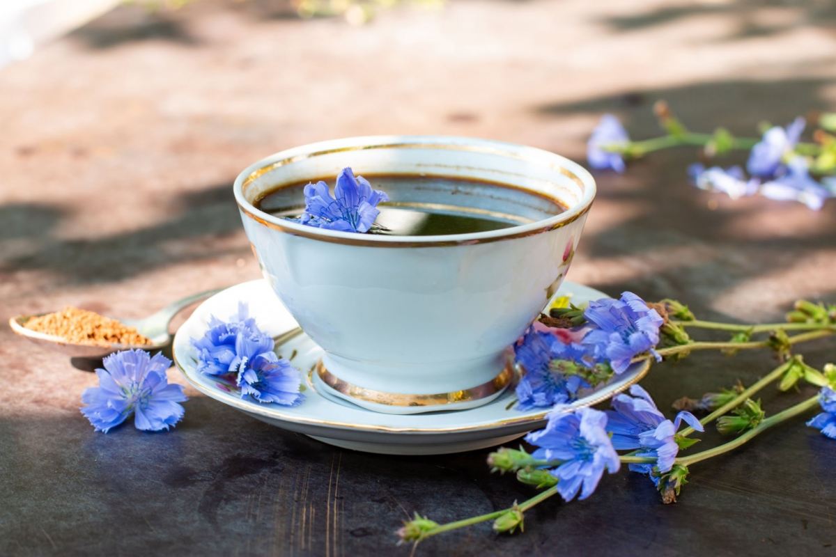 بهترین دمنوش برای دفع سنگ کلیه