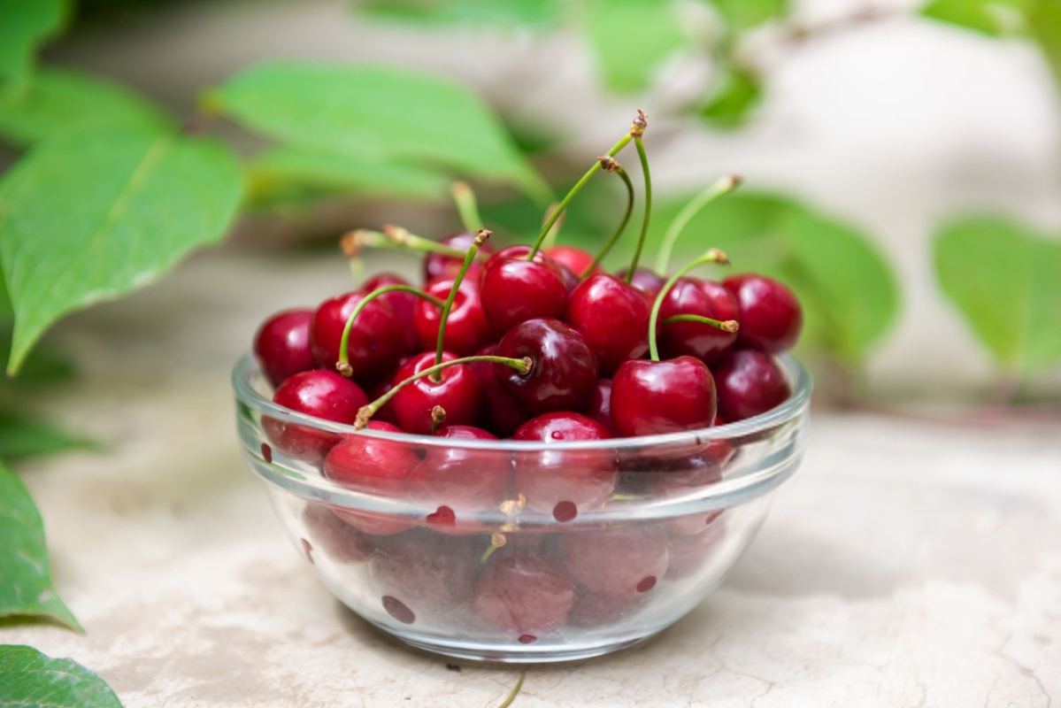 خواص گیلاس برای لاغری