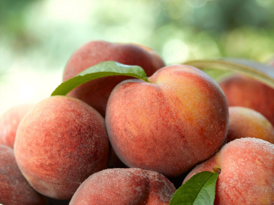 Peach