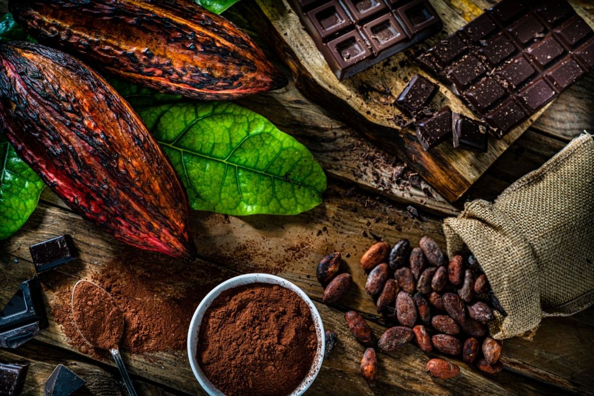 خواص کاکائو برای بدن مردان و زنان