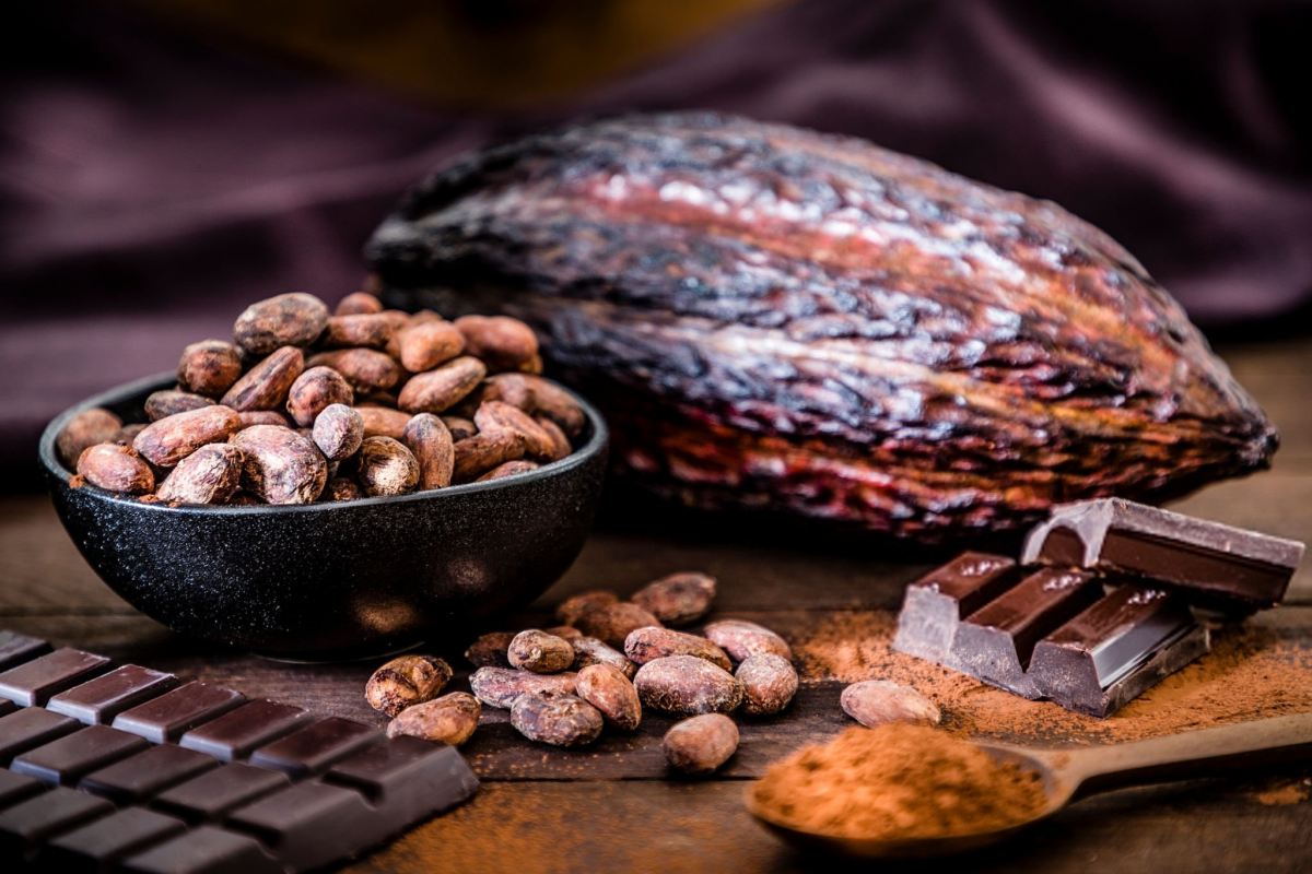 خواص کاکائو برای بدن مردان و زنان