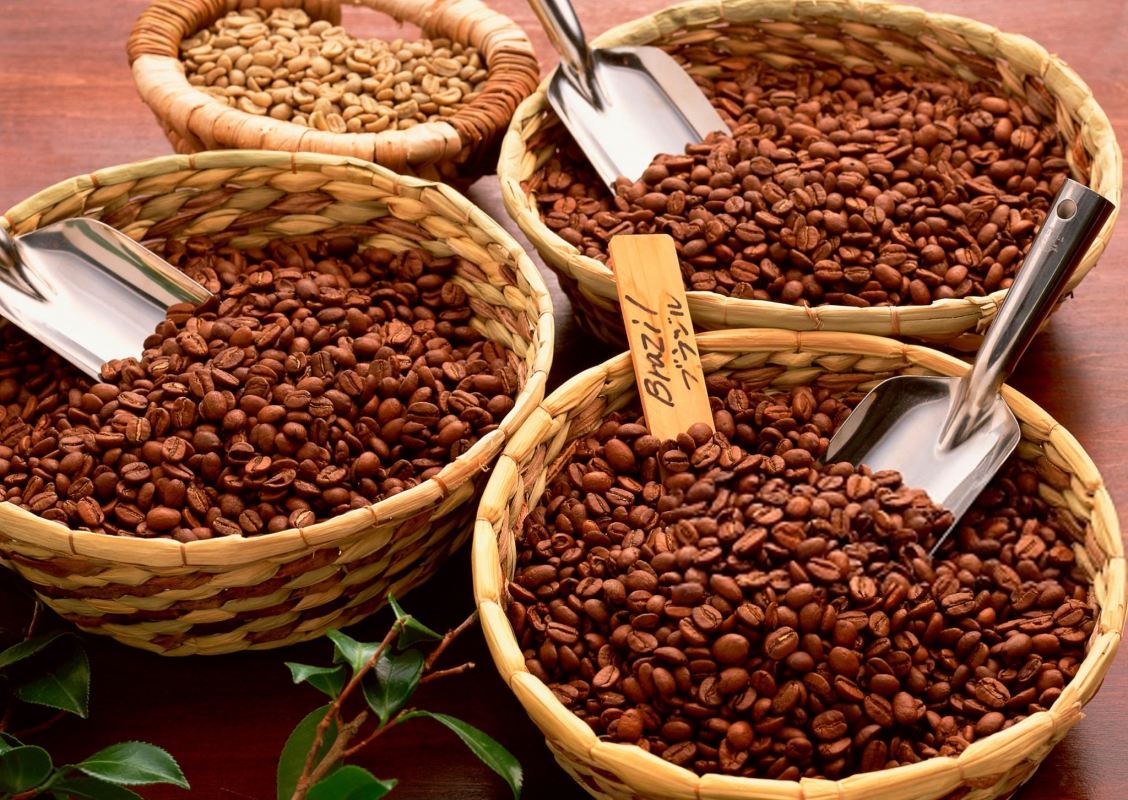 عربیکا یا روبوستا