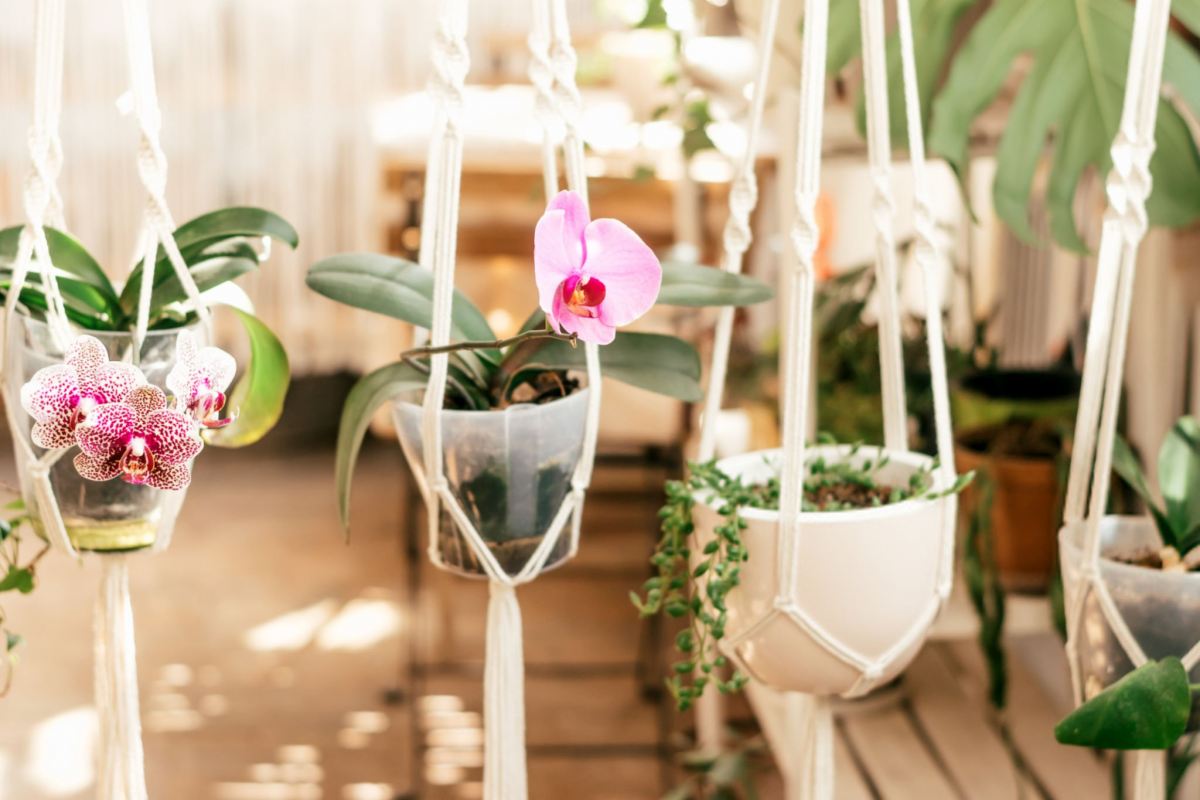 دکوراسیون بیوفیلیک