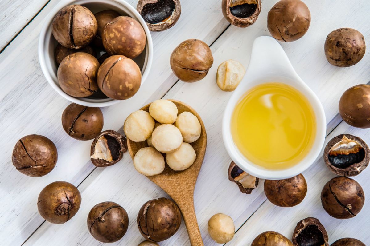تفاوت ماکادمیا با فندق