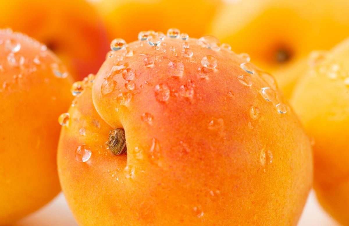 خواص زردآلو برای لاغری