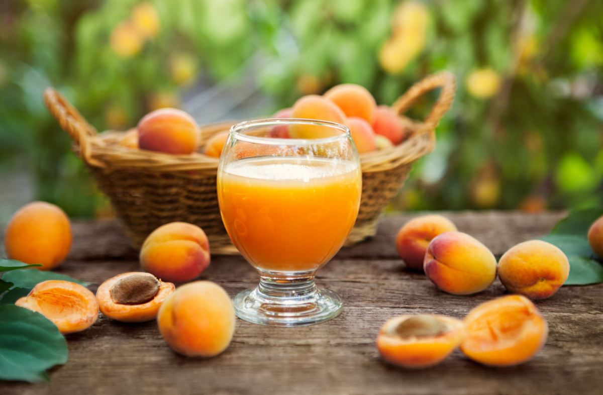 خواص زردآلو برای لاغری