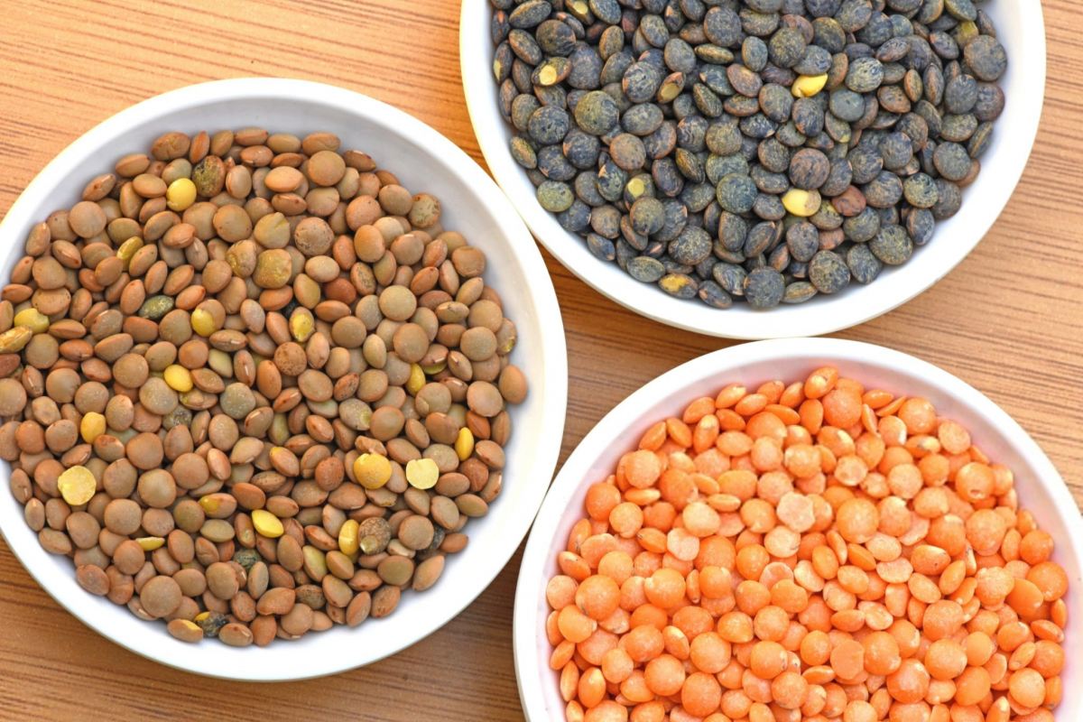 خواص عدس برای کودکان