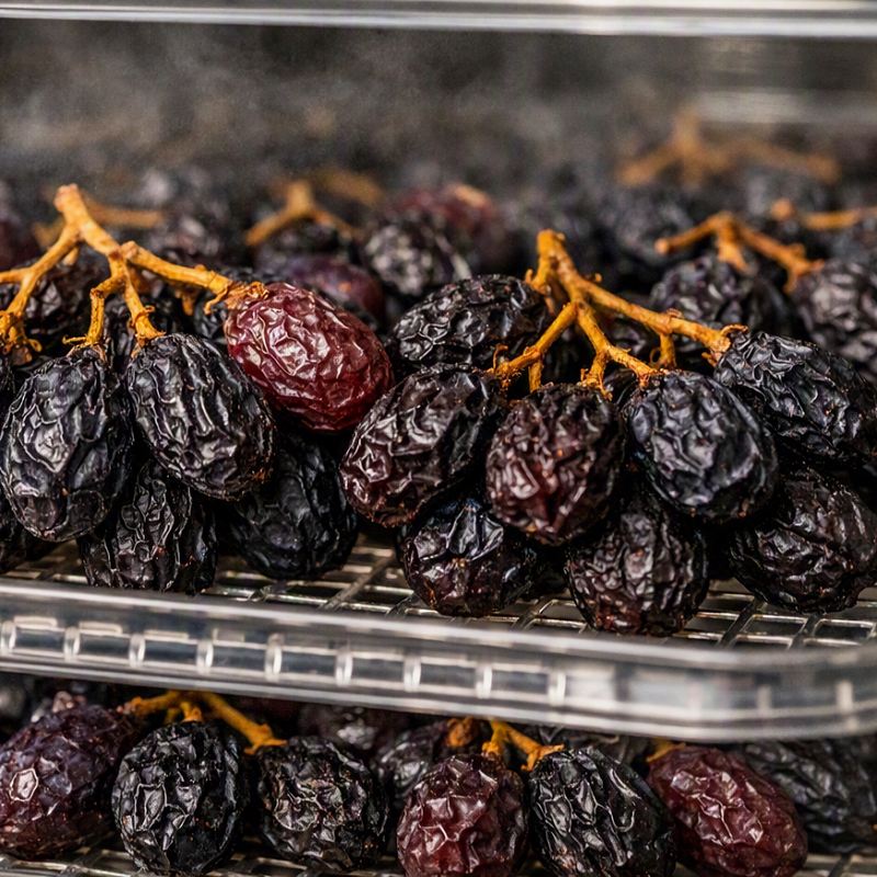 درست کردن مویز با دستگاه میوه خشک کن