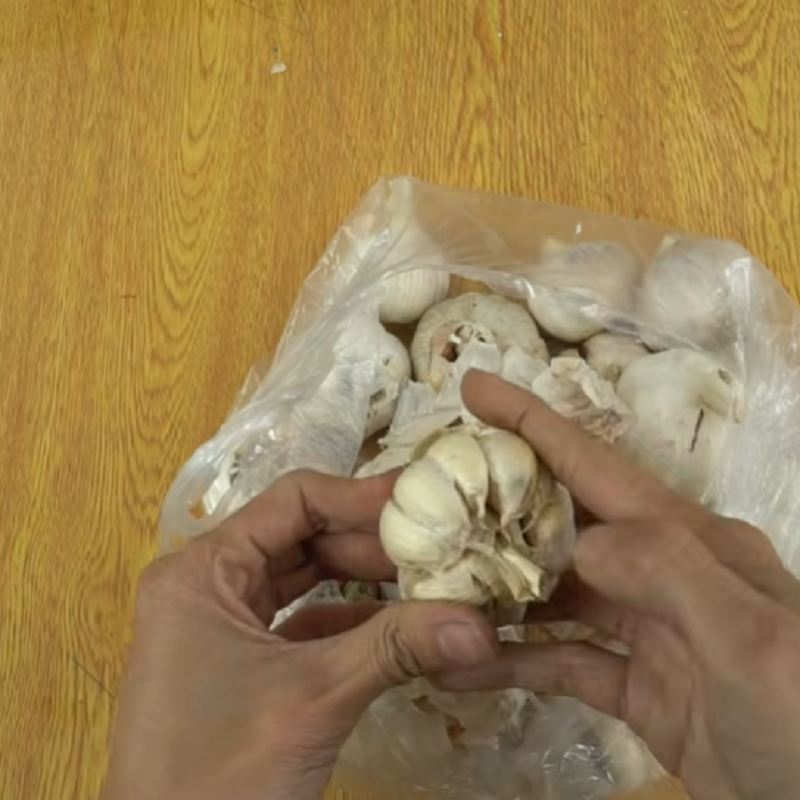 آماده کردن سیر برای جوانه زنی