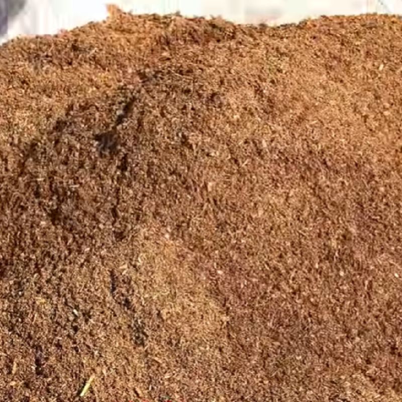 تهیه خاک مناسب اسفناج