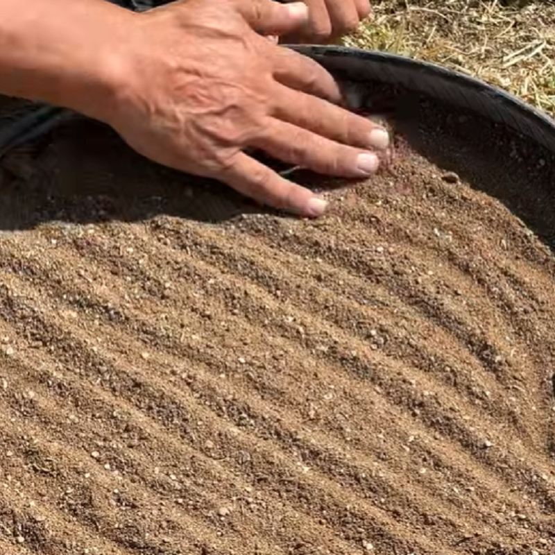 با دست به آرامی سطح خاک را لمس کنید