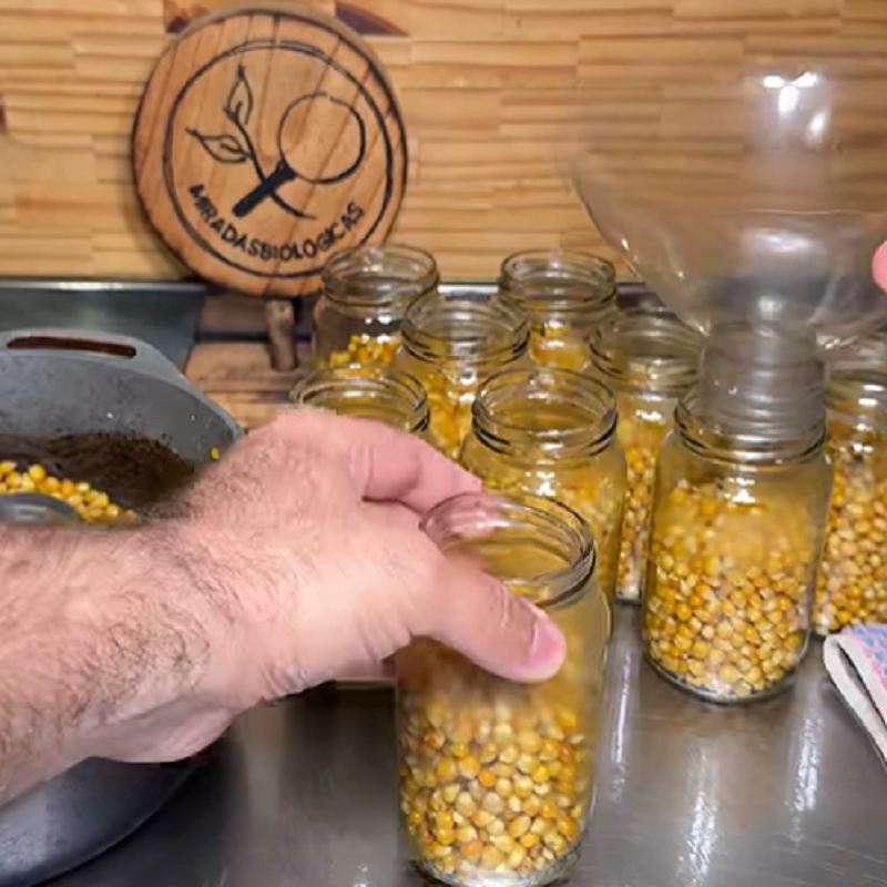پر کردن شیشه ها با ذرت