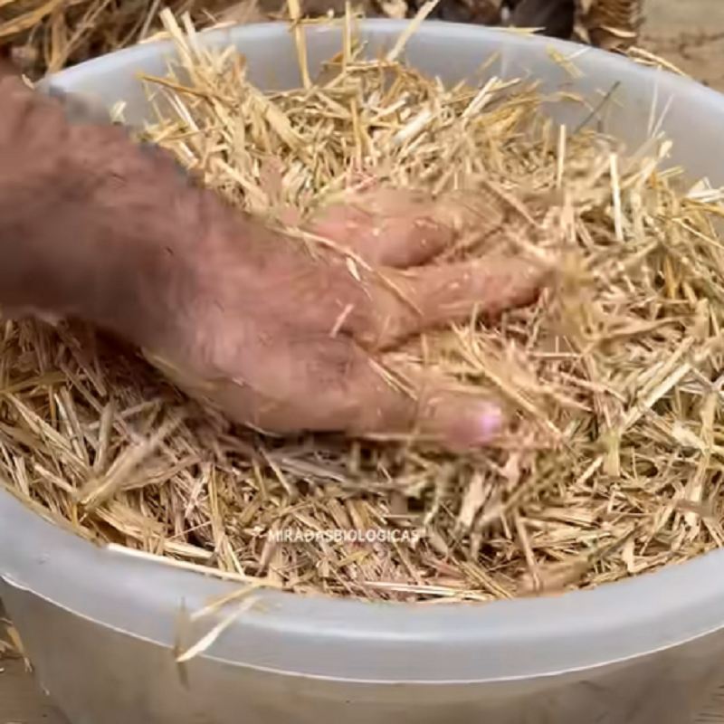 خرد کردن کاه گندم