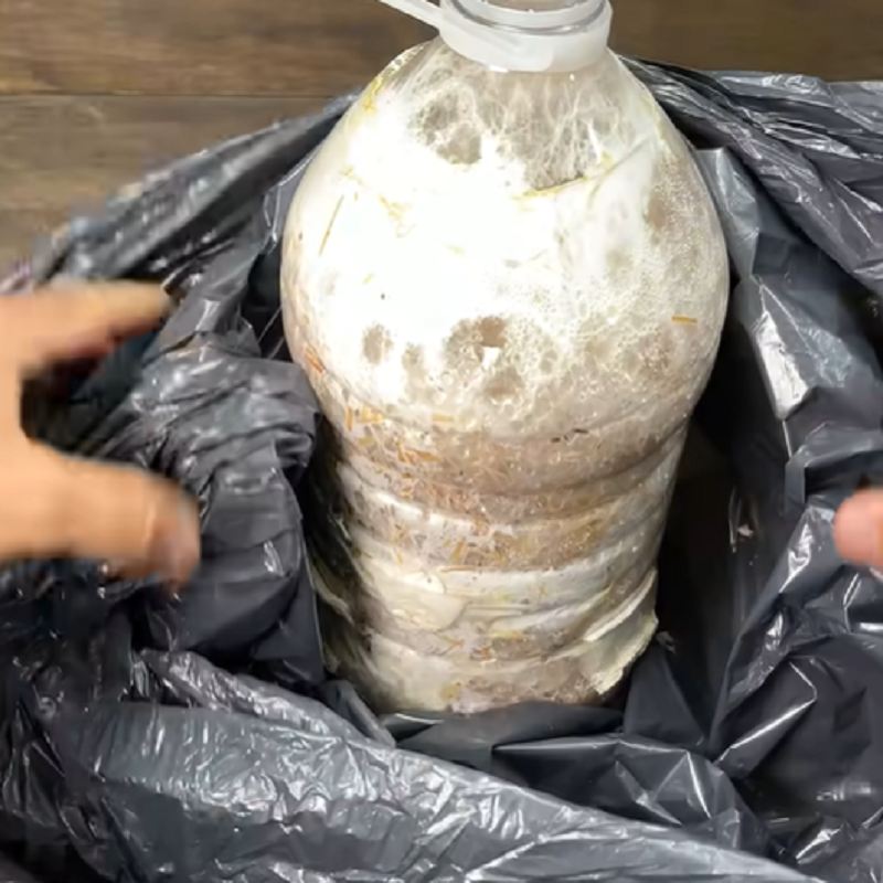 چه زمانی بستر آماده باردهی است
