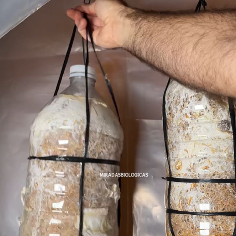 تأمین نور مناسب