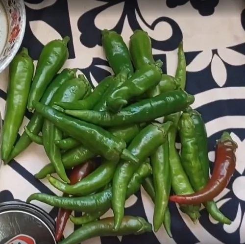 معنی ضرب المثل فلفل نبین چه ریزه بشکن ببین چه تیزه