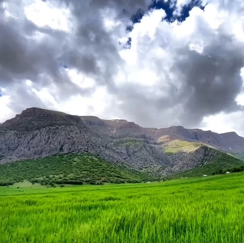 ضرب المثل لری لرستان و بختیاری