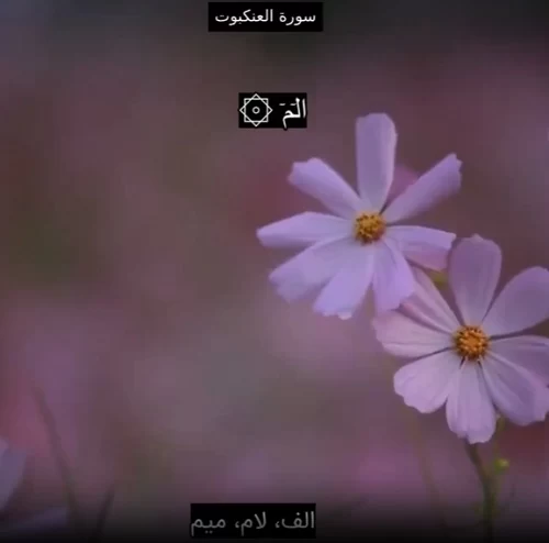 دانلود سوره عنکبورت به صورت صوتی