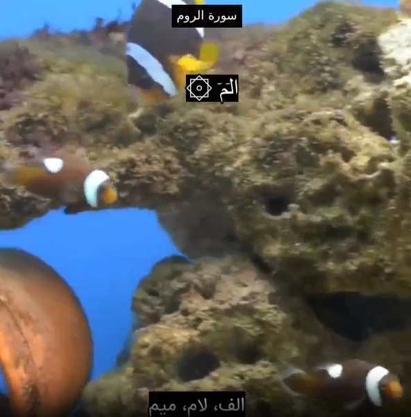دانلود سوره روم صوتی