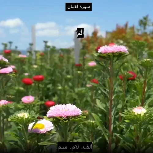 دانلود سوره لقمان