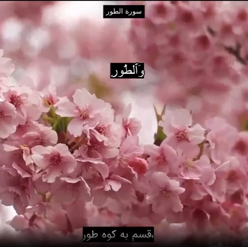 دانلود سوره طور