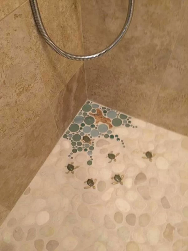 دکوراسیون
