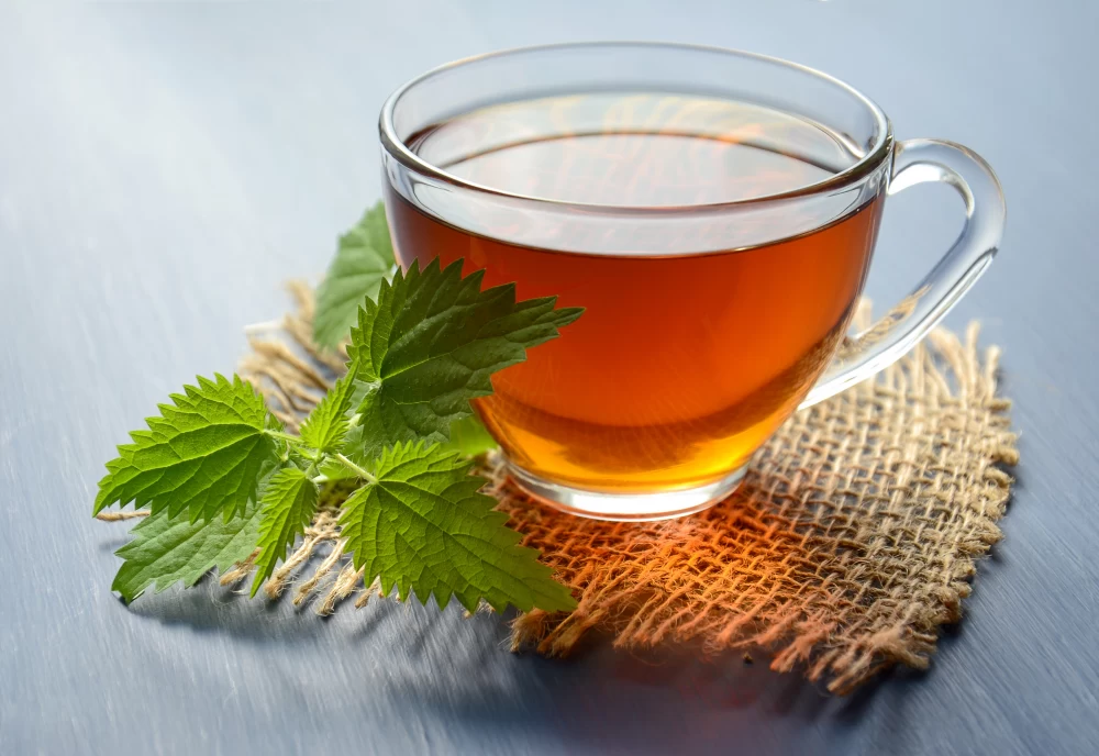 فرق بین قهوه و چای چیست، کدام یک سالم تر هستند؟
