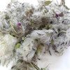 قیمت چای کوهی فله ای