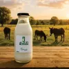 قیمت شیر الاغ ۵۰۰ گرمی برای سرفه‌های کهنه | هفتصد و سی هزار تومان
