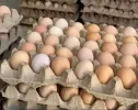 قیمت تخم مرغ محلی ۳۰ عددی | سی هزار تومان
