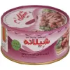 قیمت کنسرو تن ماهی شیلانه ۱۸۰ گرم در روغن | دویست و پنجاه و پنج هزار تومان