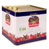 قیمت رب گوجه فرنگی دریان دشت - 9000 گرم