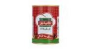 قیمت رب گوجه فرنگی دلپذیر مقدار ۴۰۰ گرم
