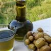قیمت روغن زیتون اصل طارم
