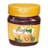 قیمت پوره زردآلو ژاماسب (450 گرم)
