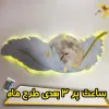 قیمت 