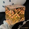 قیمت Mirror night light