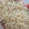 قیمت berenj
